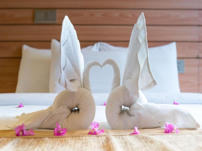 Nala Veli Beach & Spa image