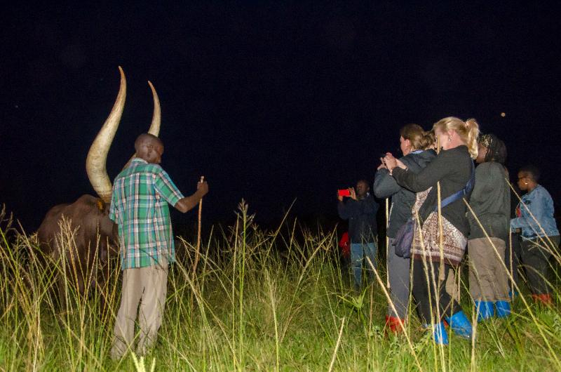 Emburara Farm Lodge image