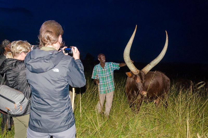 Emburara Farm Lodge image