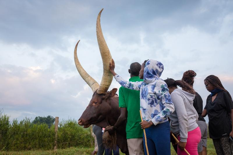 Emburara Farm Lodge image
