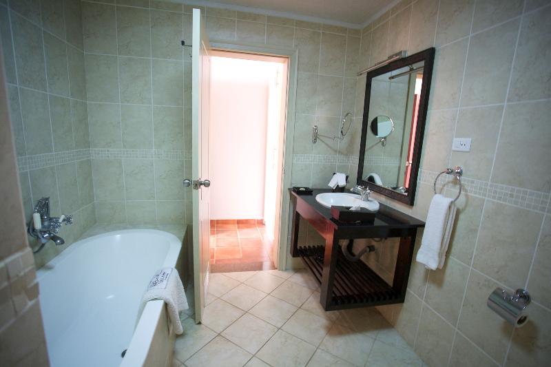 Haile Resort Hawassa image