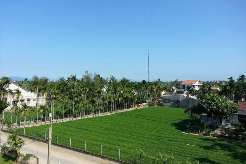Rice Field Homestay image