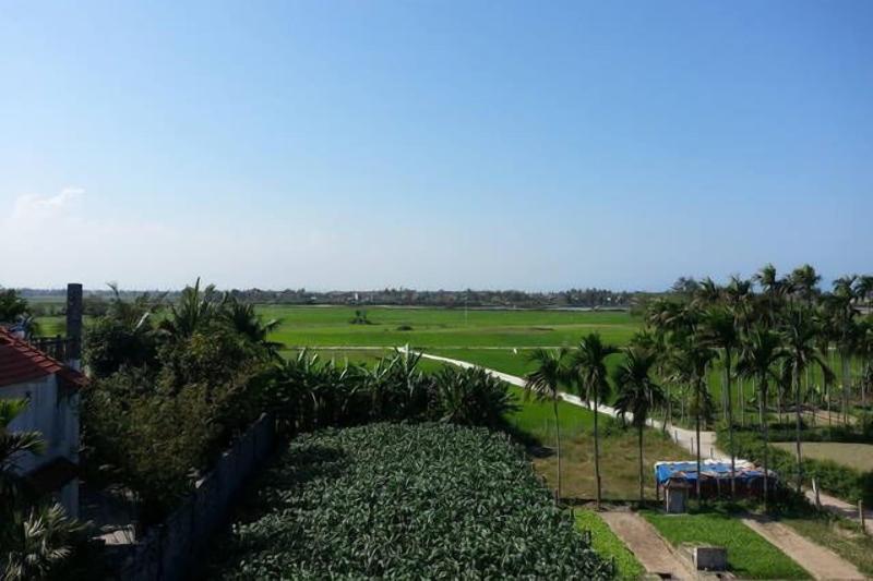 Rice Field Homestay image