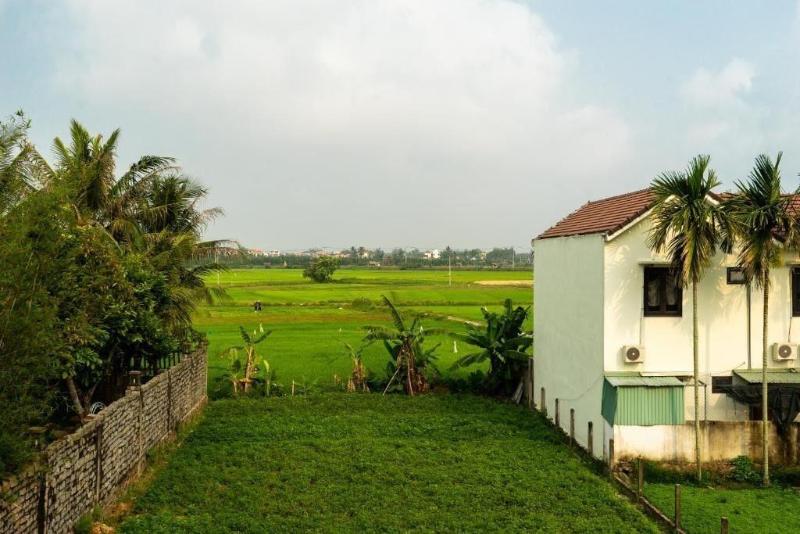 Rice Field Homestay image