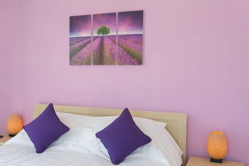 Rice Field Homestay image