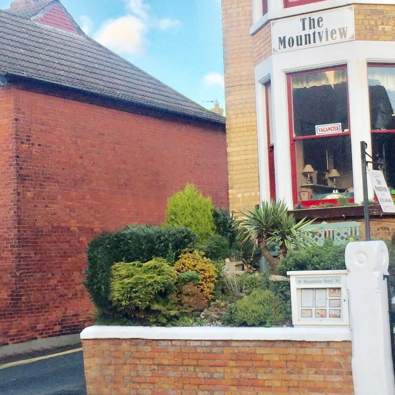 The Mountview image