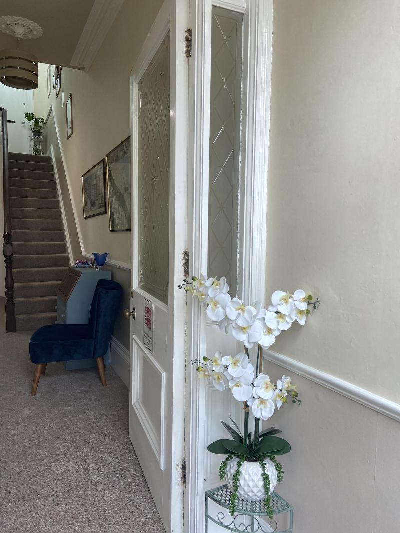 The Mountview image