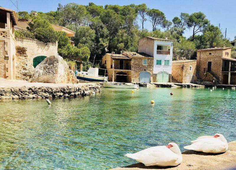 Apartaments Marina Sol I Pins image