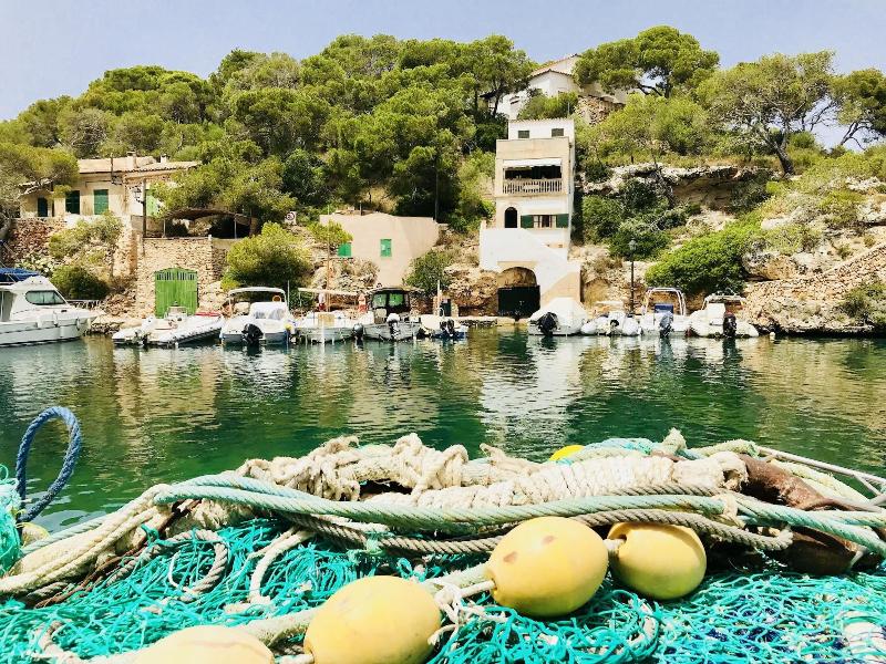 Apartaments Marina Sol I Pins image