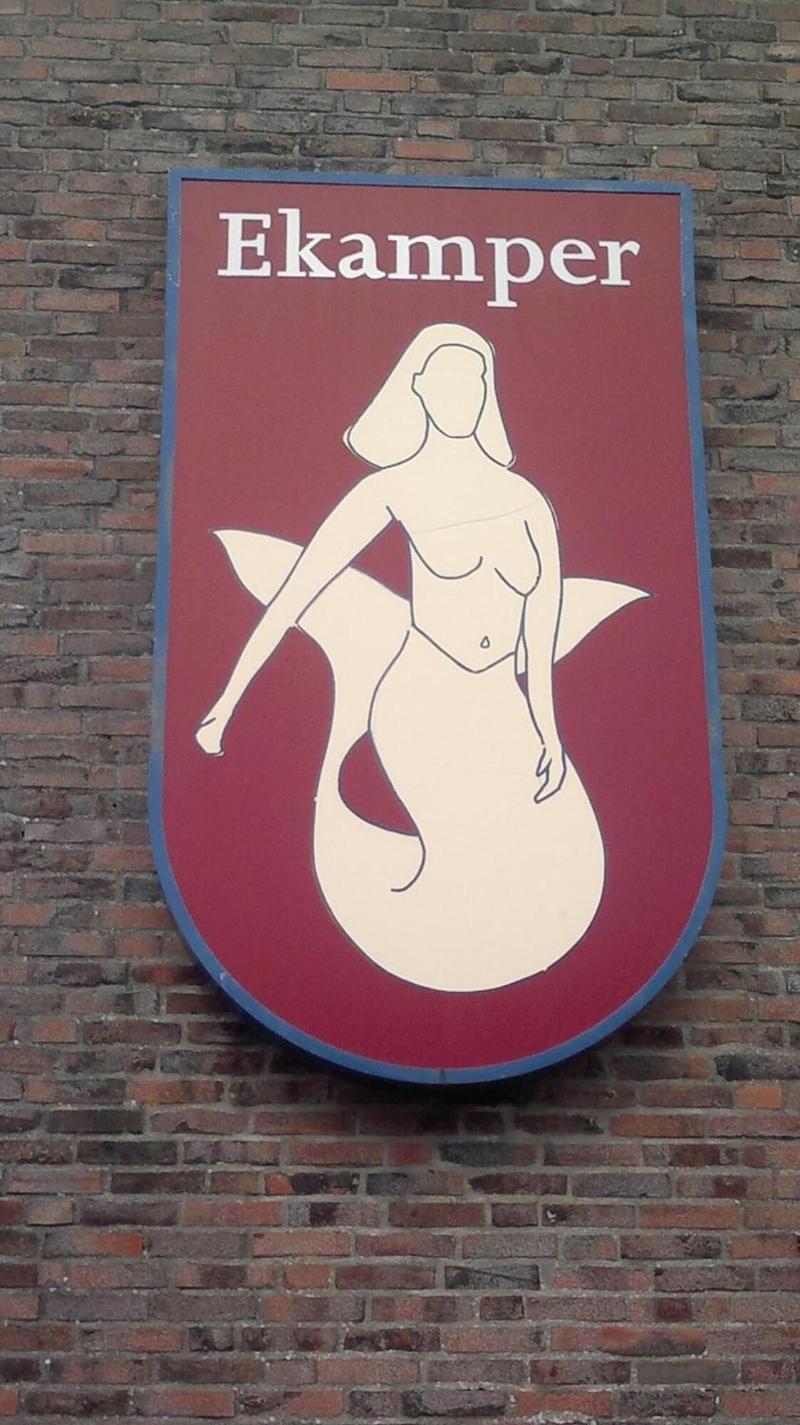 Hotel Ekamper image