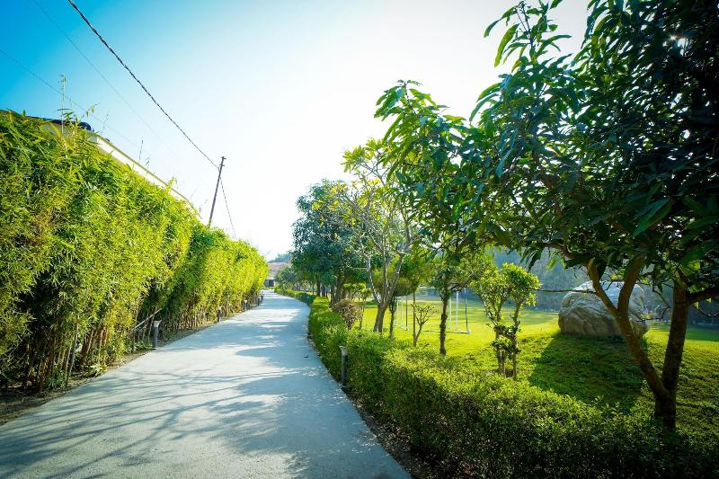 Mango Bloom River Resort image