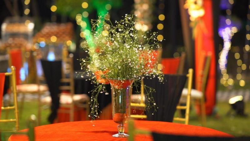 Mango Bloom River Resort image