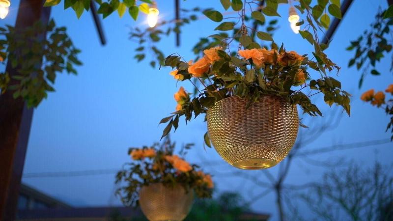 Mango Bloom River Resort image