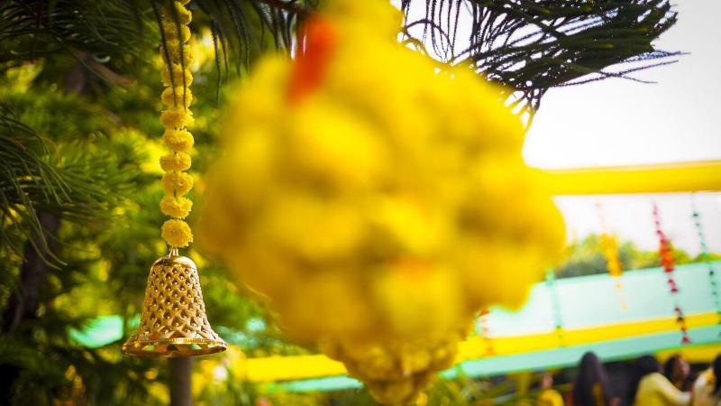 Mango Bloom River Resort image