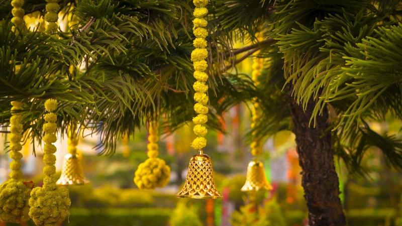Mango Bloom River Resort image