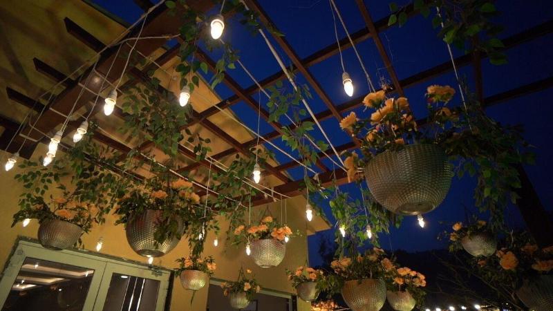 Mango Bloom River Resort image