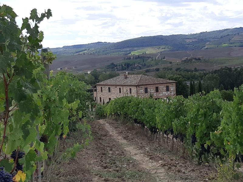 Cordella In Montalcino Wine Resort image