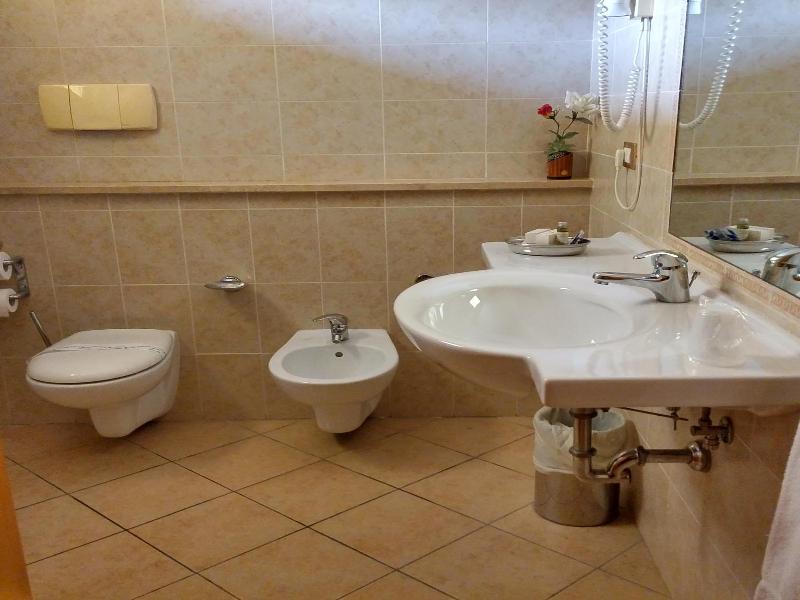 Hotel Turrita image