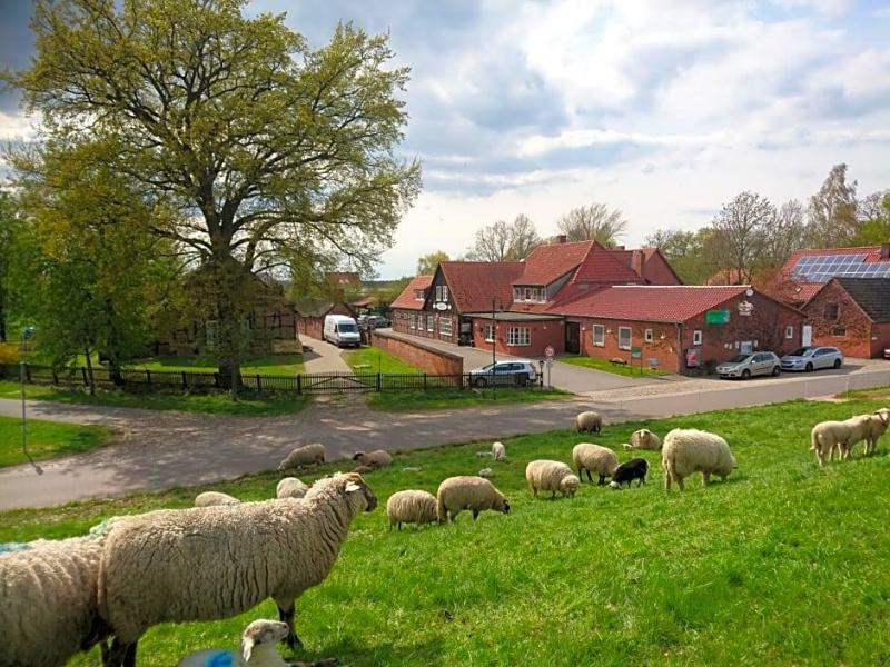 Hotel Steinhagen image