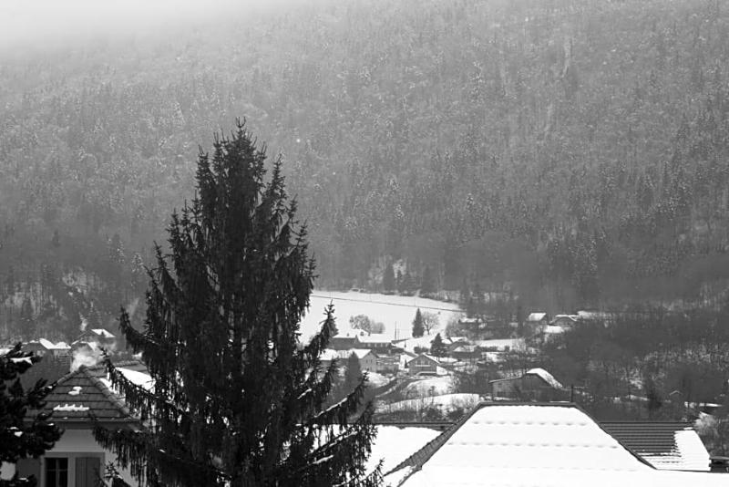 Accueil Savoyard image
