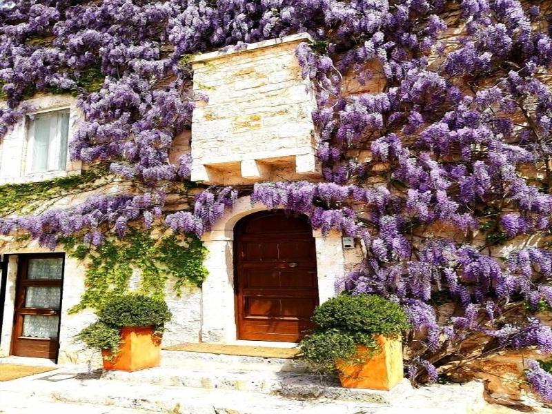 Parco Dei Manieri image