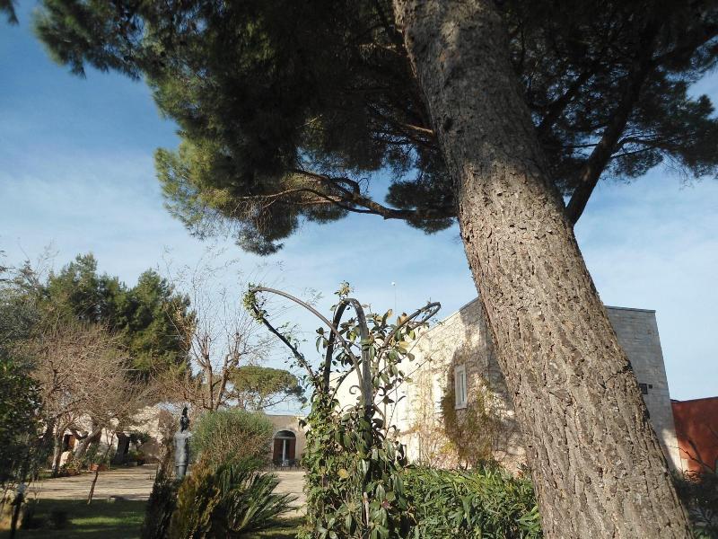 Parco Dei Manieri image