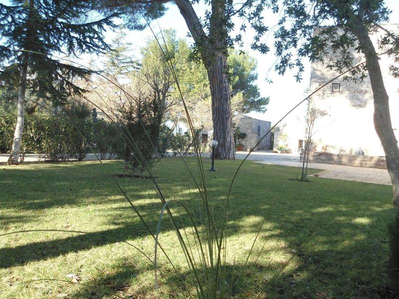 Parco Dei Manieri image