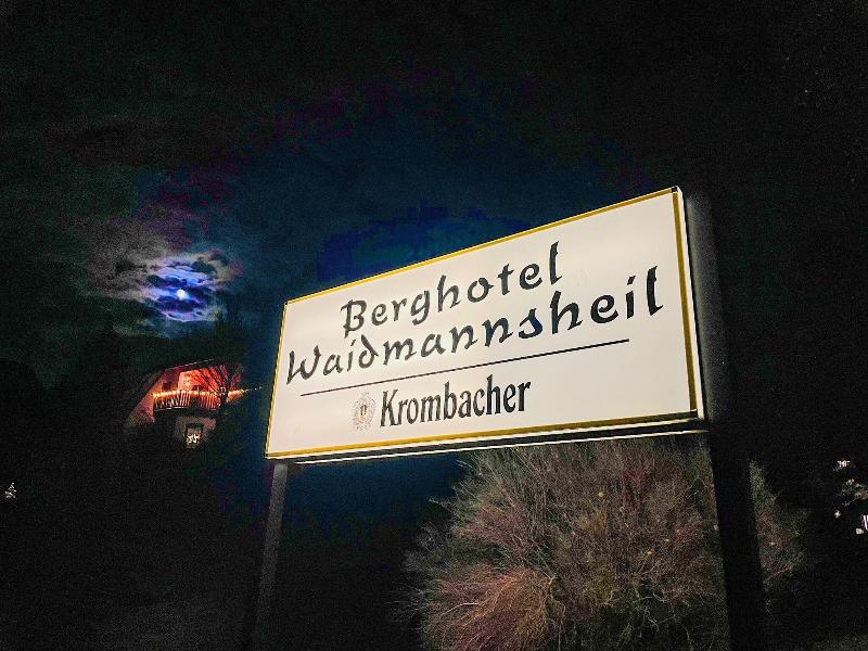 Berghotel Waidmannsheil image