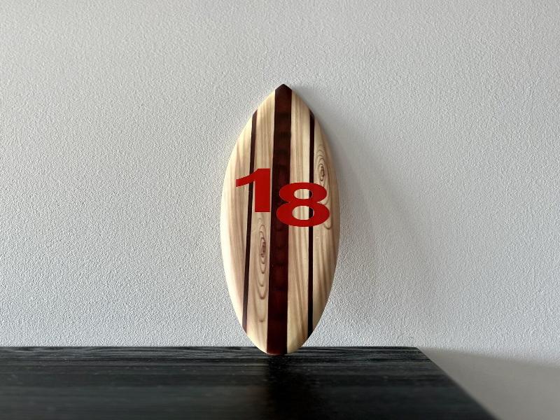 Surf Rescue Club image