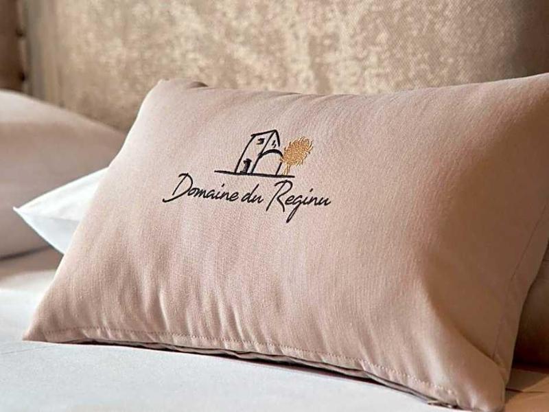 Domaine Du Reginu image