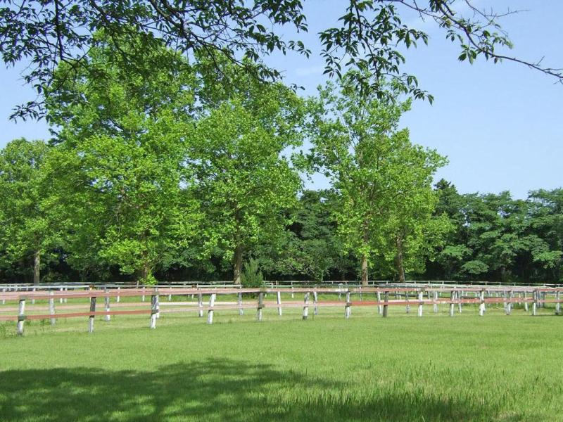 Toyoko Inn Imba Nihon-idai Ekimae image