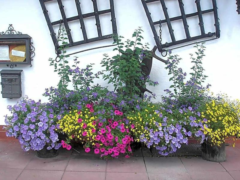 Landhotel Zur Post image