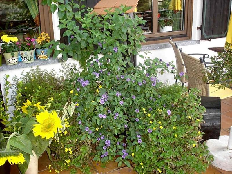 Landhotel Zur Post image