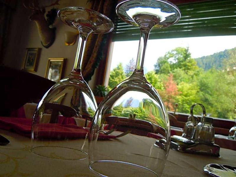 Hotel Zoldana image