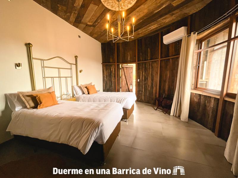 Hotel Cava Colchagua 5