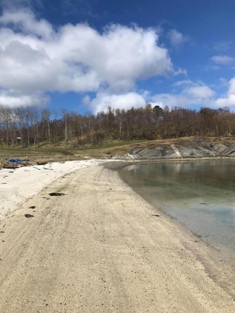 Skagen Gaard image
