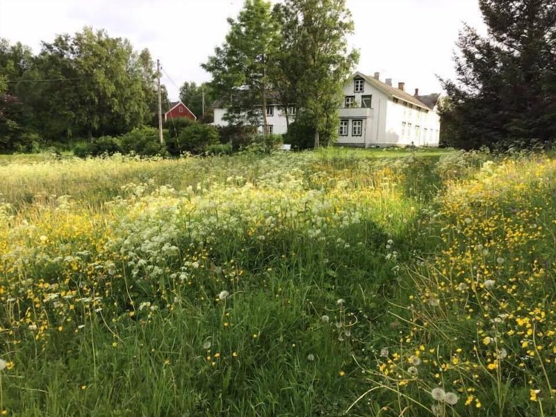Skagen Gaard image