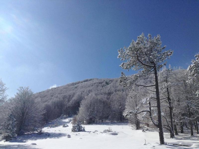 Hv Tel Mont Thabor Serre Chevalier image