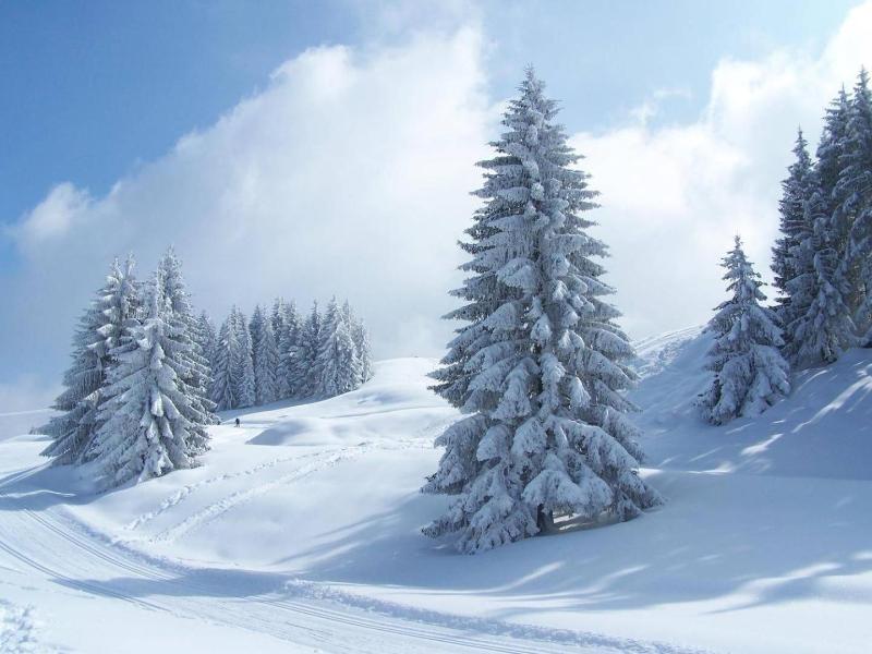 Hv Tel Mont Thabor Serre Chevalier image