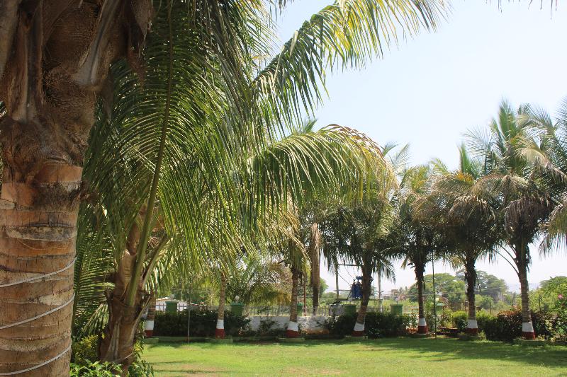 Sandy's Kinjal Farm & Tents image