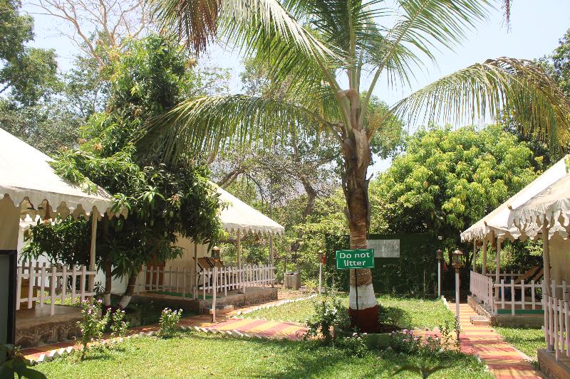 Sandy's Kinjal Farm & Tents image