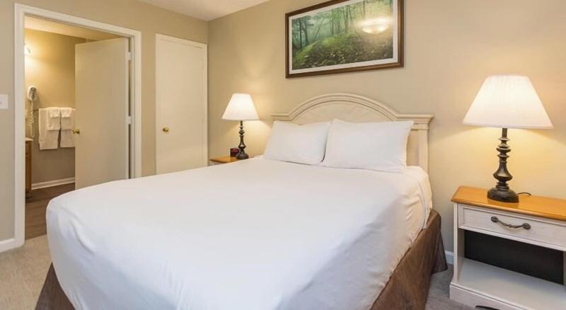 Massanutten Resort image
