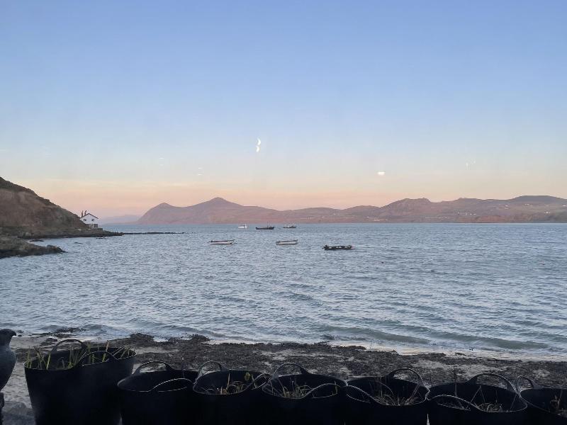 Bryn Noddfa image