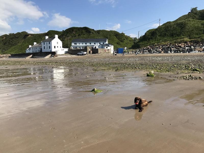 Bryn Noddfa image