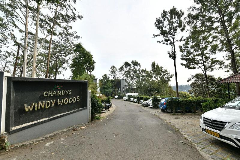 Chandys Windy Woods image