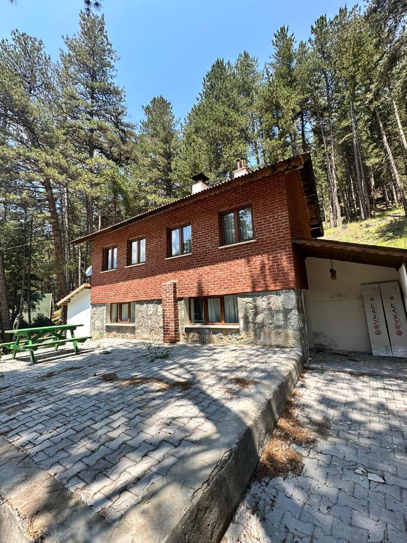 Doceia image 10