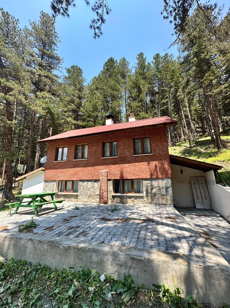 Doceia image