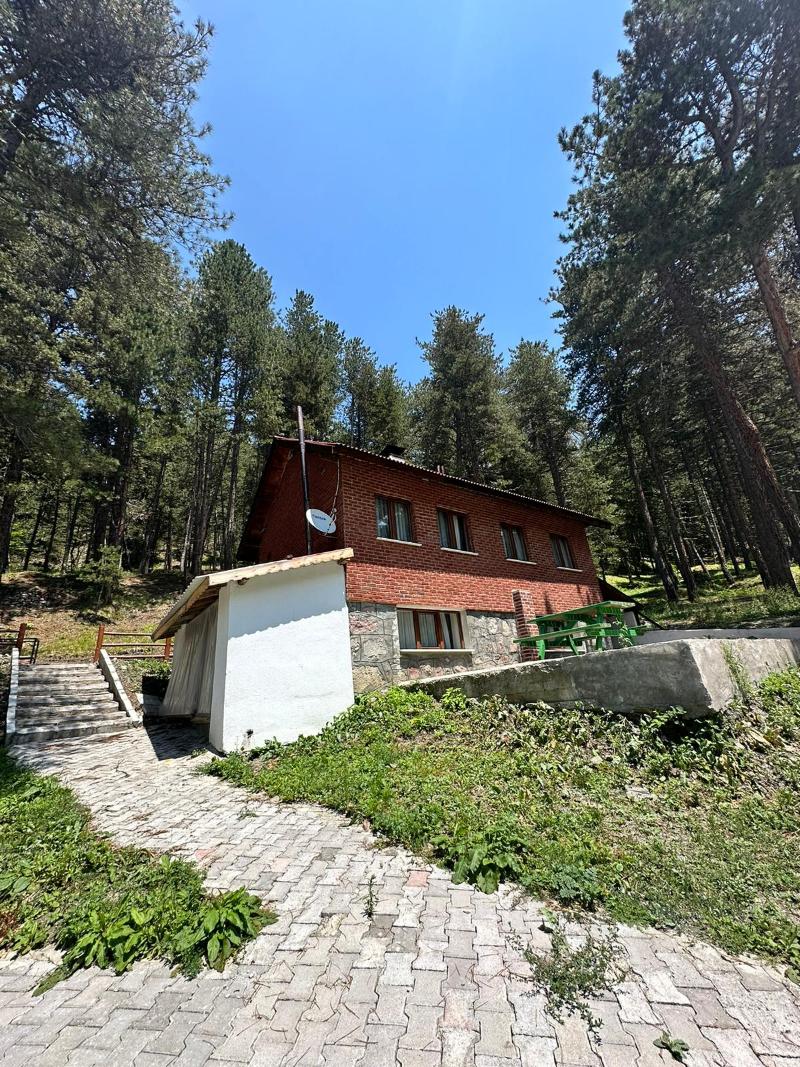 Doceia image