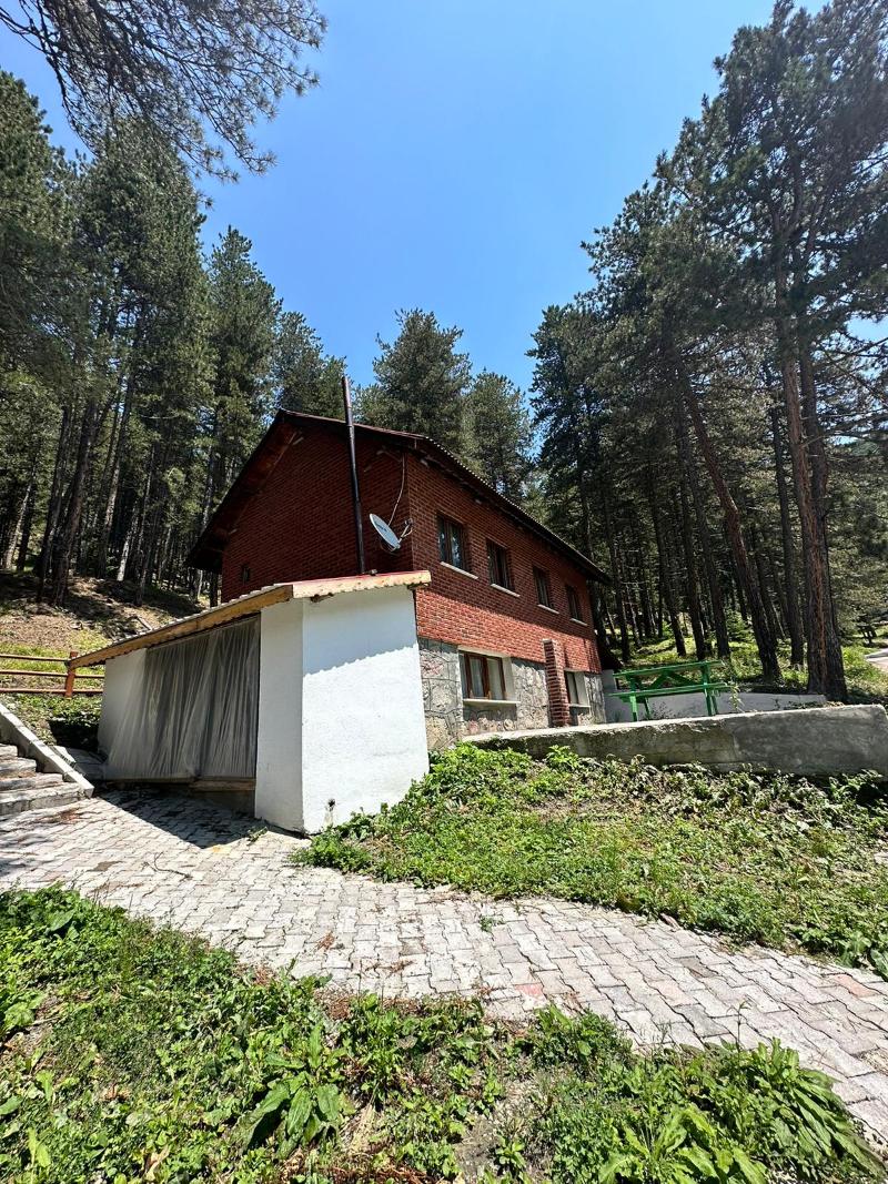 Doceia image