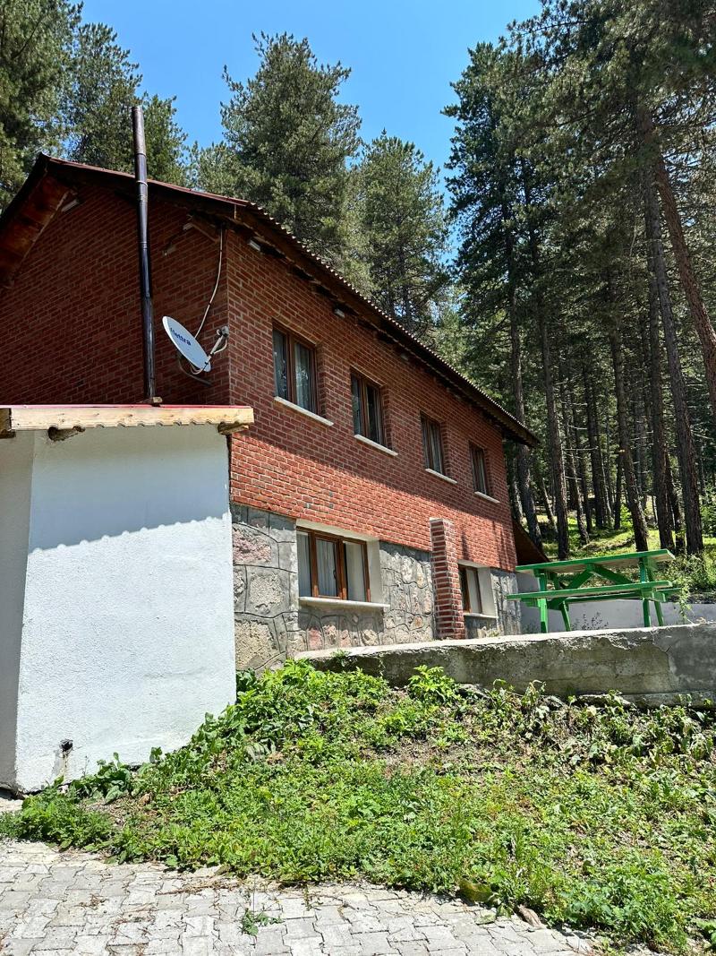 Doceia image